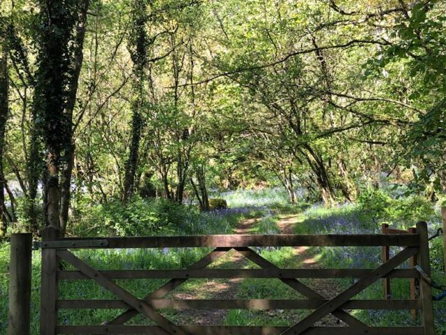 Down The Garden Path Vintage Caravan B&B , Dartmoor Newton Abbot Zewnętrze zdjęcie