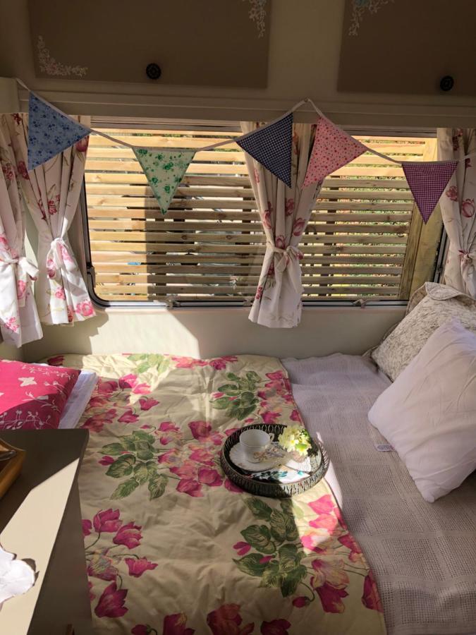Down The Garden Path Vintage Caravan B&B , Dartmoor Newton Abbot Zewnętrze zdjęcie