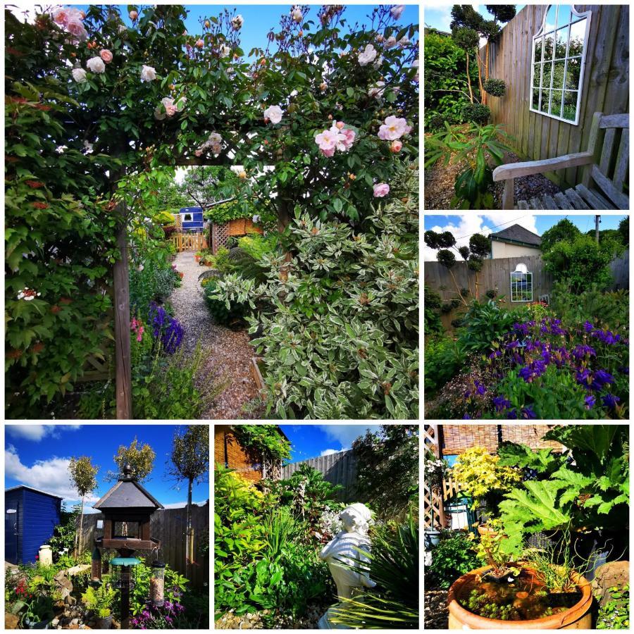 Down The Garden Path Vintage Caravan B&B , Dartmoor Newton Abbot Zewnętrze zdjęcie